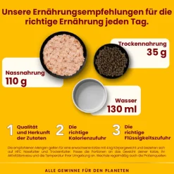 Almo Nature HFC Natural Atlantikthunfisch 70g