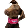 Aqua Coolkeeper Cooling Collar Red Western Kühlhalsband