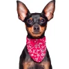 Aqua Coolkeeper Cooling Pet Bandana Kühlendes Bandana Red Western