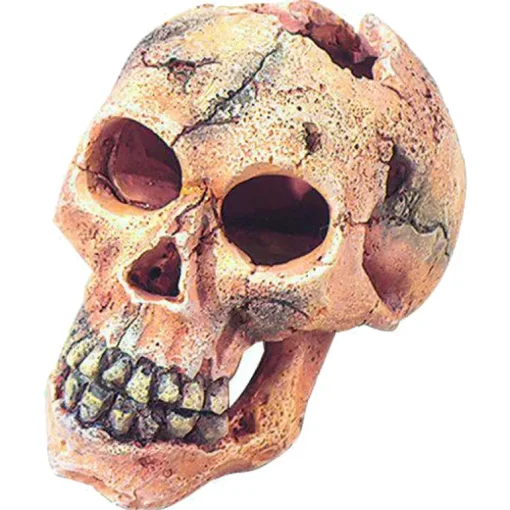 Aqua D'ella Dekor Totenkopf S 11cm