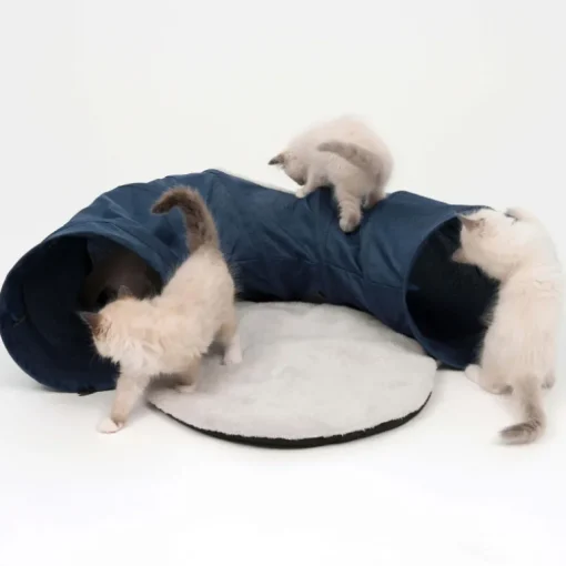 Catit Katzenspielzeug Vesper Katzentunnel blau 68x97x28cm