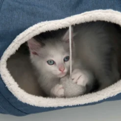 Catit Katzenspielzeug Vesper Katzentunnel blau 68x97x28cm
