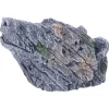 Deep Sea Bear Rock