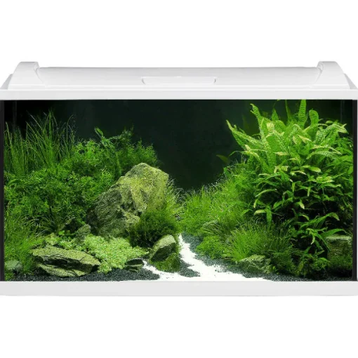 EHEIM Aquarium Komplettset AquaproLED 126