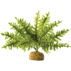 Exo Terra Boston Fern S