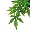 Exo Terra Jungle Plant Abutilon S