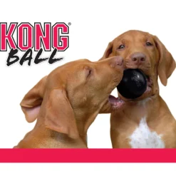 KONG Hundespielzeug Extreme Ball M/L 8cm