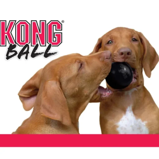 KONG Hundespielzeug Extreme Ball M/L 8cm