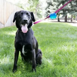 KONG Hundespielzeug TagALong™ Hundeball M