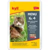 kyli Menu Nr. 4 Adult 12x100g