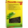 Lucky Reptile Flower Mix Hibiscus