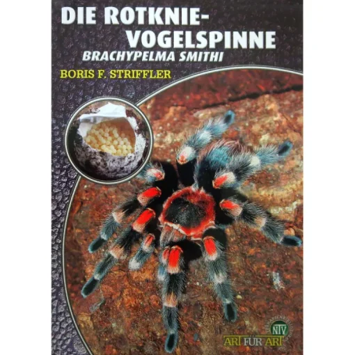 Natur und Tier - Verlag Die Rotknie Vogelspinne
