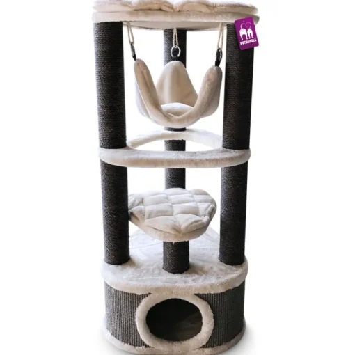 Petrebels Katzenbaum Kings & Queens Catharina120 royal Creme