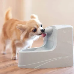 PetSafe Drinkwell Mini Trinkbrunnen 1.2l