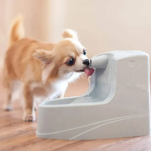 PetSafe Drinkwell Mini Trinkbrunnen 1.2l