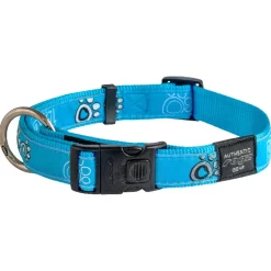 Rogz Halsband Jelly Bean CG S 20-31cm