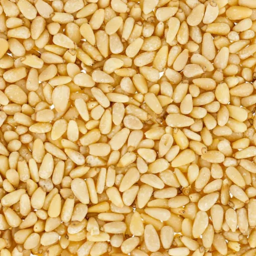 schweizer Pinienkerne 1kg