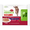 Trainer Natural Katzenfutter Rind in Sauce 4x85g