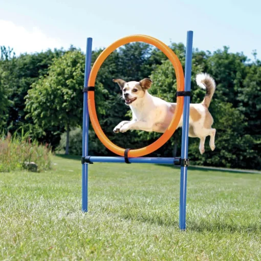 Trixie Dog Activity Agility Ring