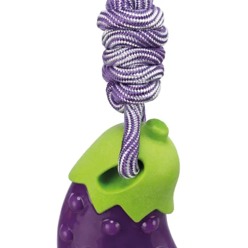 Trixie Hundespielzeug Aubergine am Seil