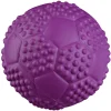 Trixie Sportball mit Quietscher