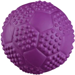 Trixie Sportball mit Quietscher