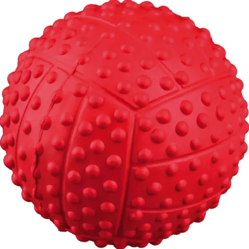 Trixie Sportball mit Quietscher D=7cm